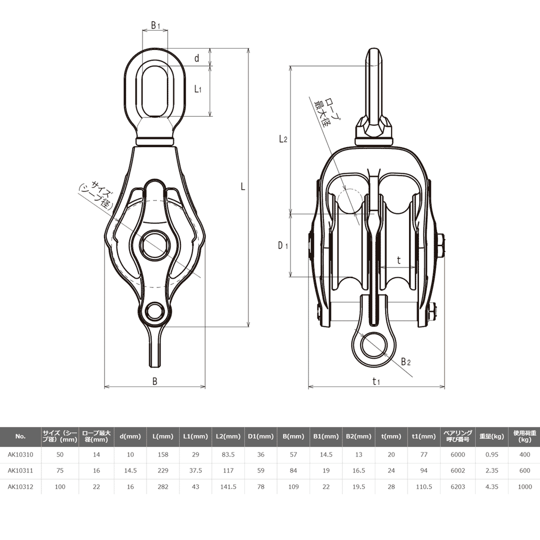 AKブロックPB型 2車 (ステンレスベアリング入)ステンレス滑車:ASANO