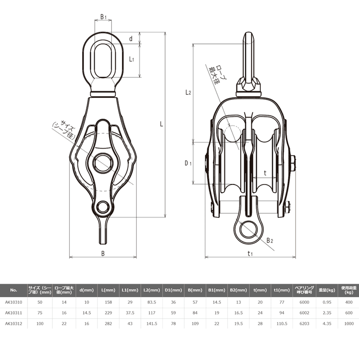 AKブロックPB型 2車 (ステンレスベアリング入)ステンレス滑車:ASANO