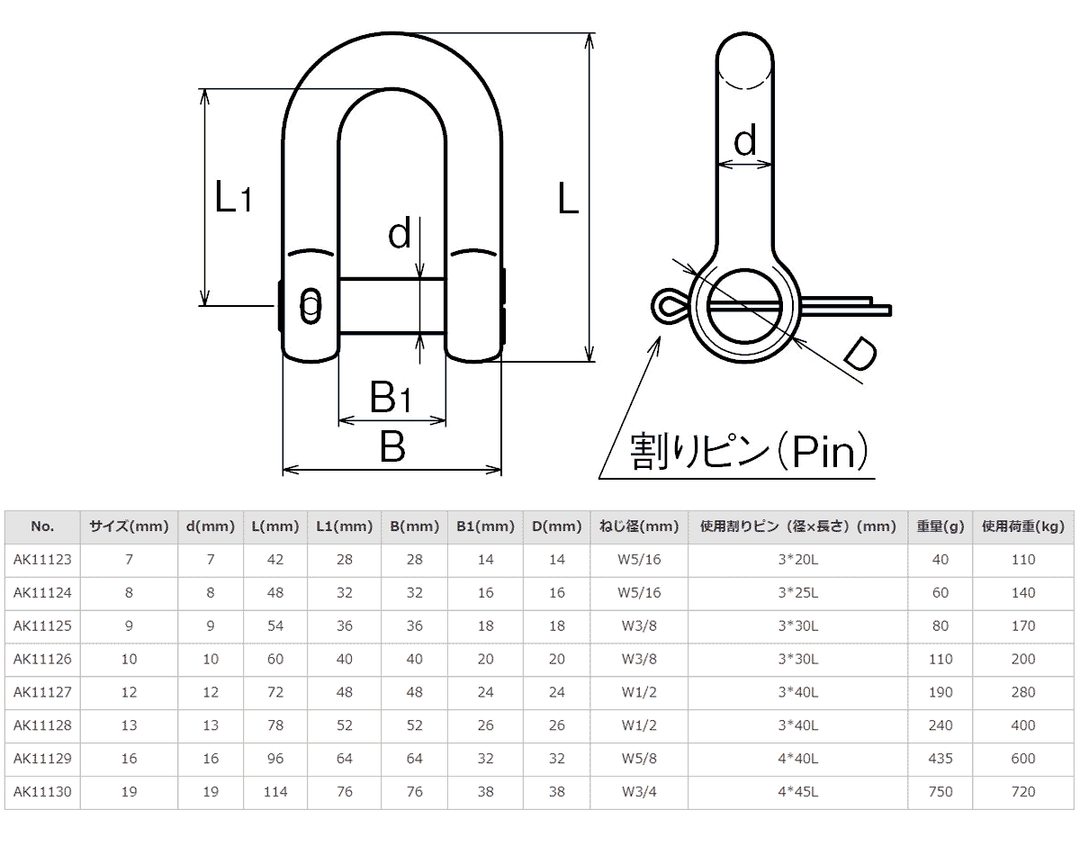【10個セット】ステンレス 沈みシャックル(割りピン付)ASANO